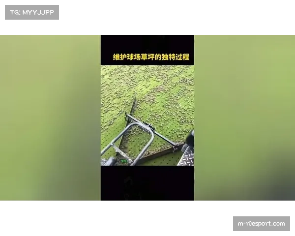 王子公园球场测试新型草坪照明系统，旨在降低球员晚间比赛疲劳感