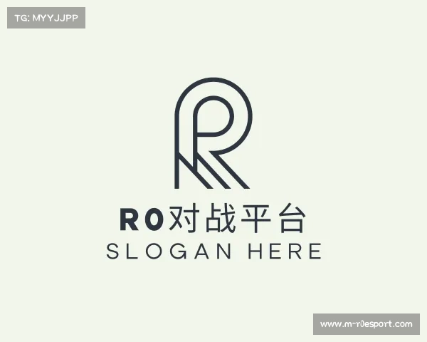 介绍r0对战平台